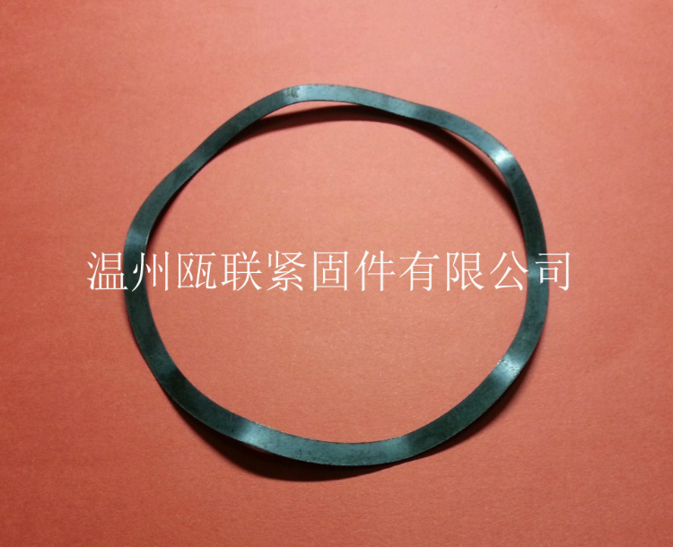 GB T 7590 motor multi-wave wave washer Φ21-Φ140