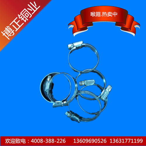 High Torque German Throat Clamp Hoop Tube Bundle Specifications 8-12 to 180-200