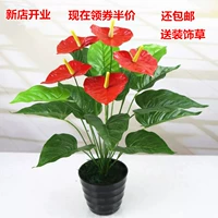 Mô phỏng cây xanh anthurium cây hoa giả phòng khách trang trí cây xanh Cây giả cây trong chậu cây cảnh trong chậu - Hoa nhân tạo / Cây / Trái cây cây giả trang trí phòng khách