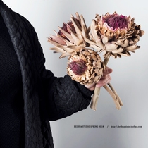 Nordic style literature and art retro natural eternal flower Imported dried flower Imperial flower name hotel soft decoration shooting