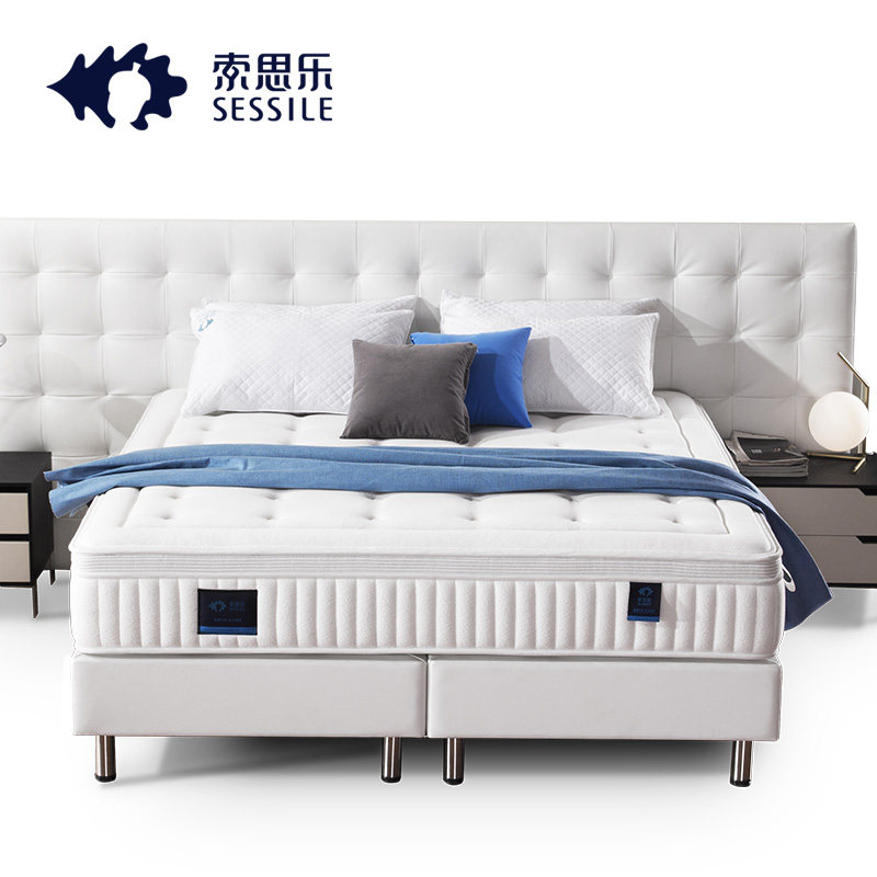 ��˼���齺�������������