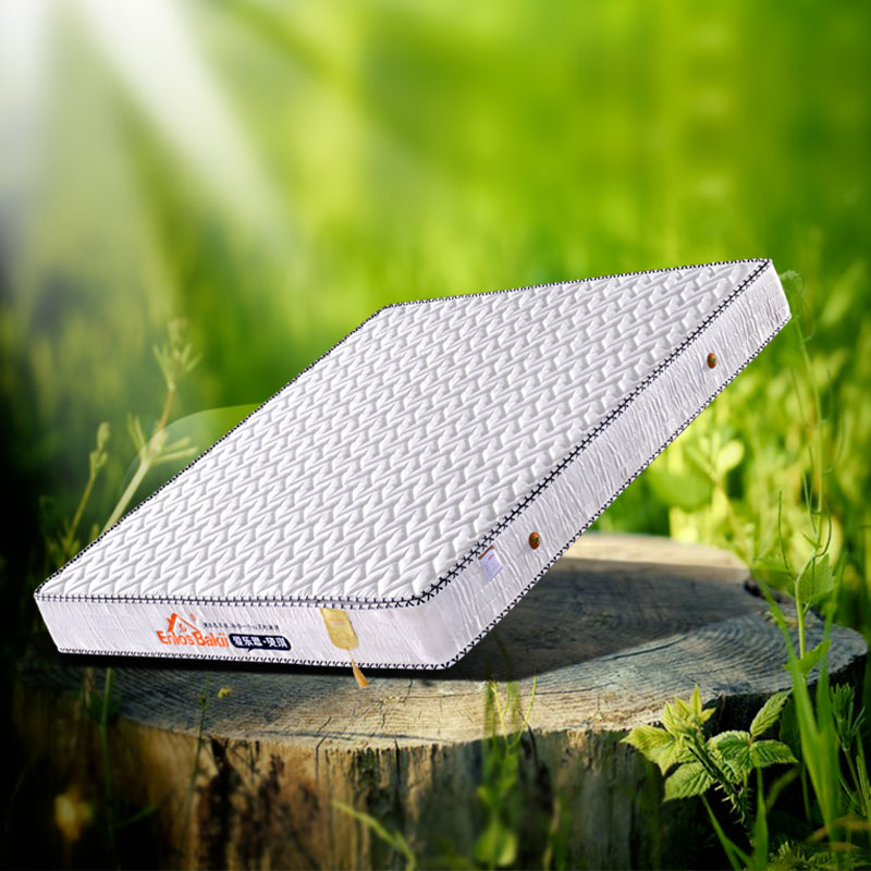 �ͱ�ɭ����Ҭ�ش���ALS-81-02