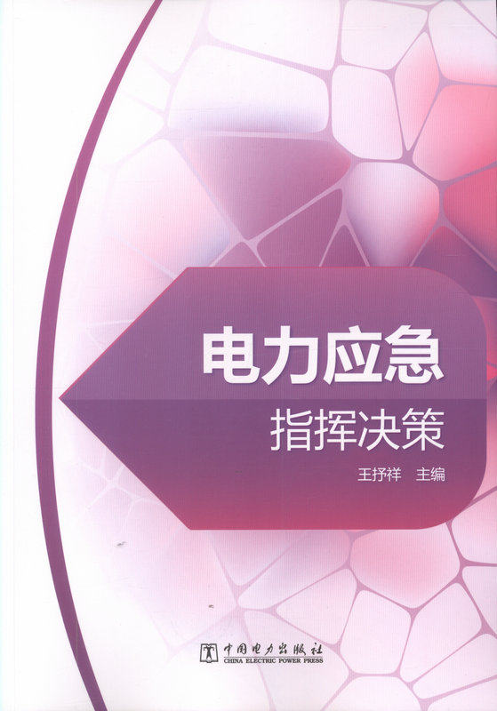 电力应急指挥决策