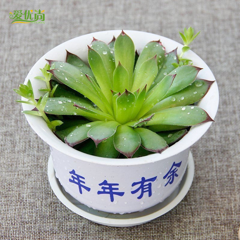 �����ж���������辰s065.