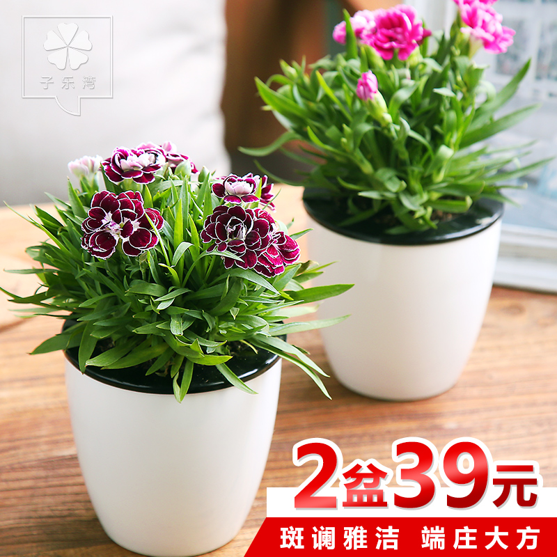 �����念��ܰ����