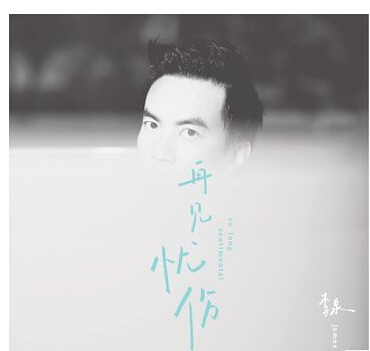 正版现货|李泉:再见忧伤(CD) 宝贝的忧伤演奏 鸿艺
