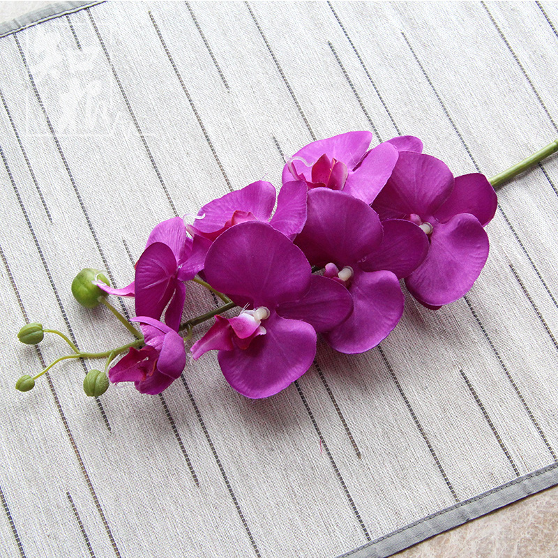 ֪�����滨�ٻ�����HDL-030