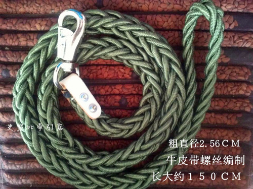 Rope New Pet Baby Dog Chain Chain Green Braider Dog Chain Large Dog Walking Leash