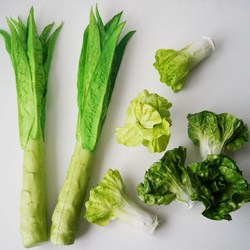 Lmdec High Artificial Vegetable Model Fake Lettuce Cabbage Baby Cabbage Texture Decoration Fruit Display Fruit