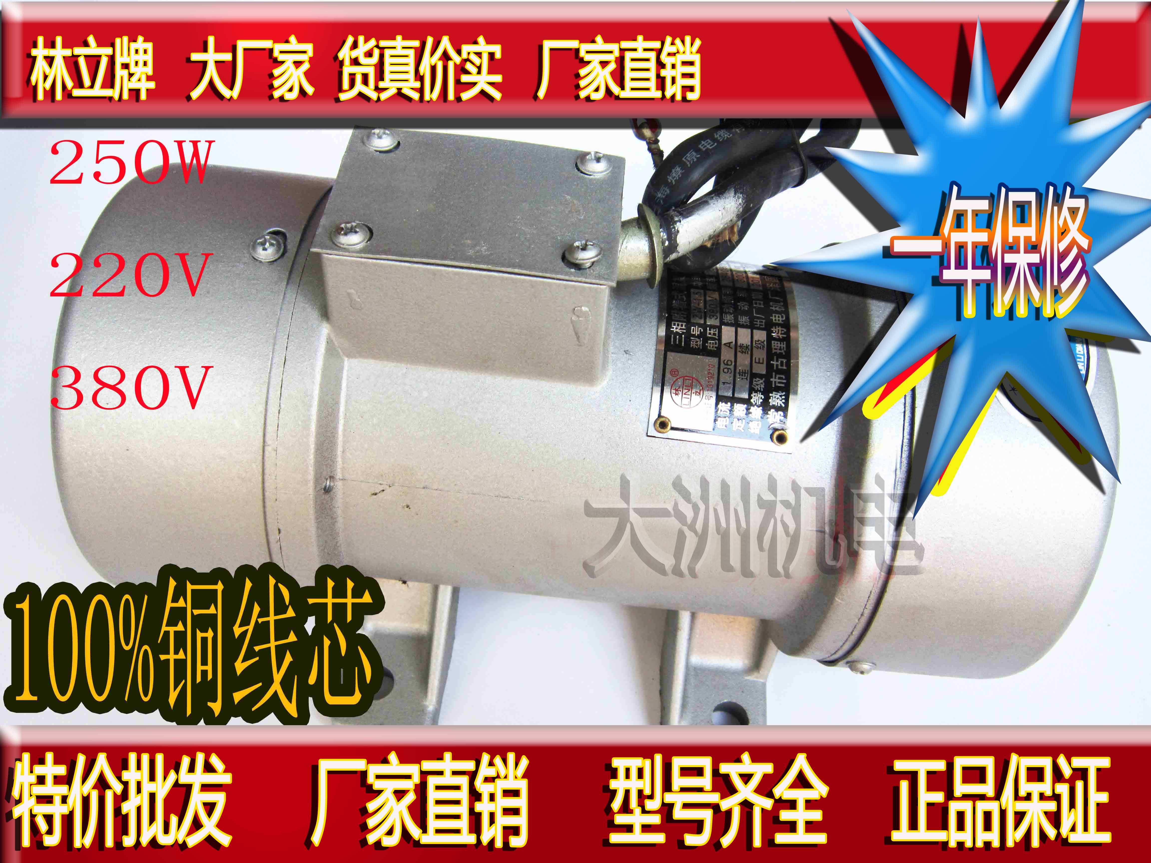 Copper wire 250W 370W 550W 220v Concrete slab vibrator Hopper attached ZW vibration motor