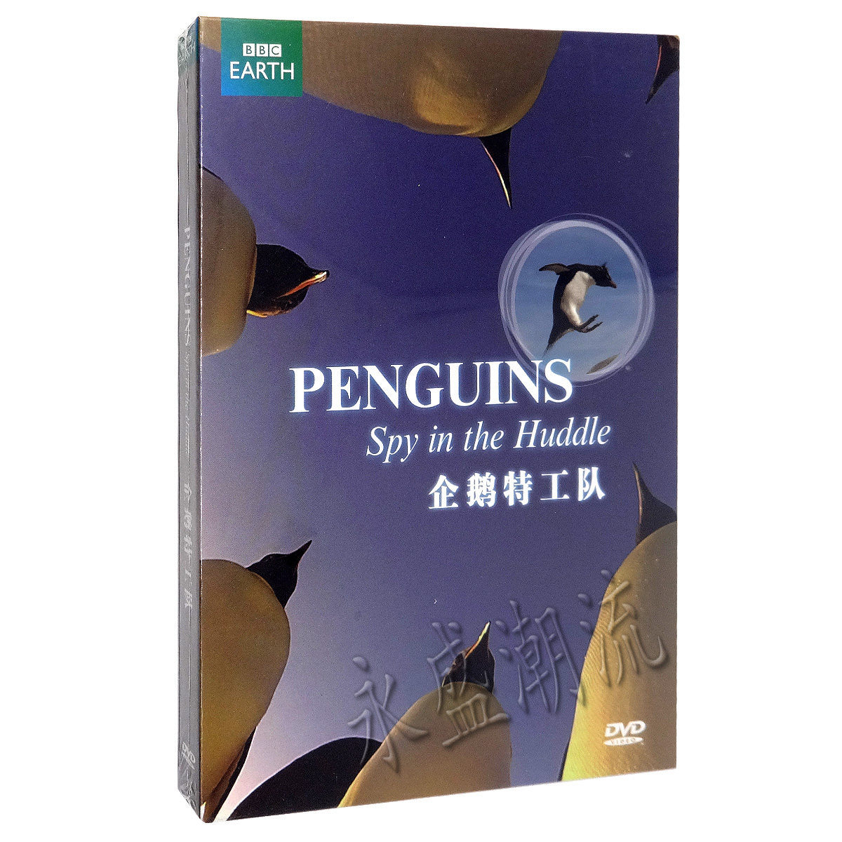 正版高清 BBC纪录片系列 企鹅特工队DVD 企鹅群里有特务