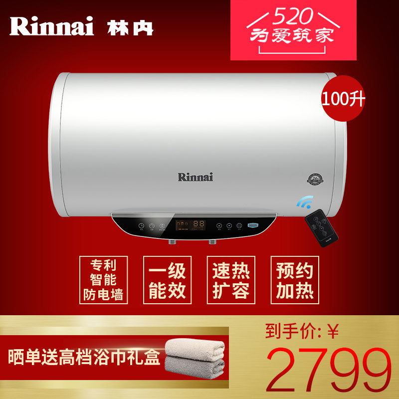 rinnai/���ڴ�ˮʽ����ˮ��dsgc