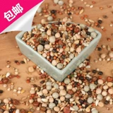 Нет кукурузного голубя голубей голубей голубей, часовой подача голубя с ярлинином 2,5 кг бесплатной доставки