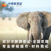 (China Youth Travel) Niger Business Sticker Visa Simplified Materials