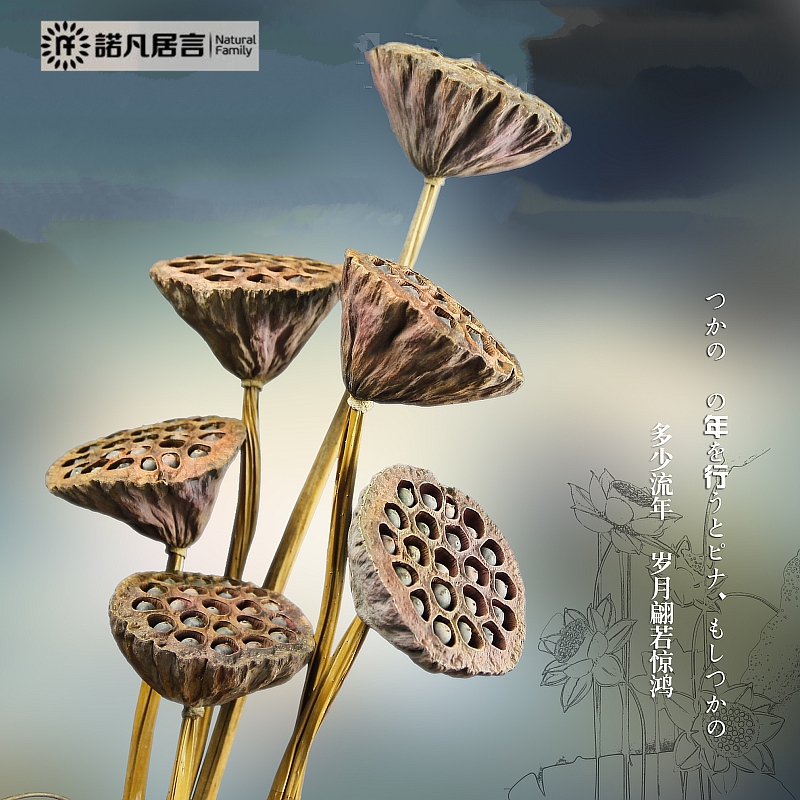 ŵ��������˸�������Ѹɻ�