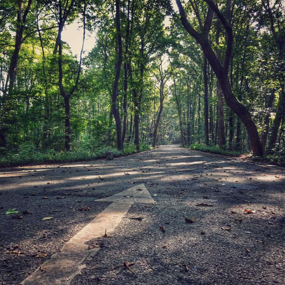 淘宝搜索不到宝贝？这份拯救指南让你秒变老司机！