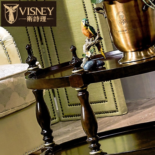 Visneyŷʽ�Ǽ�120CK