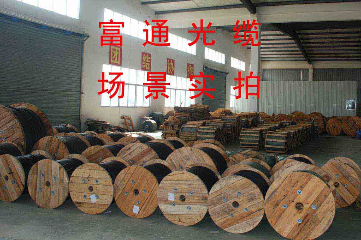 Supply Engineering Long Fly Firenfire Futong 4 Core 6 Core 8 Core 12 24 24 48 48 96 144 Core 144 Core Optical Fiber Cable
