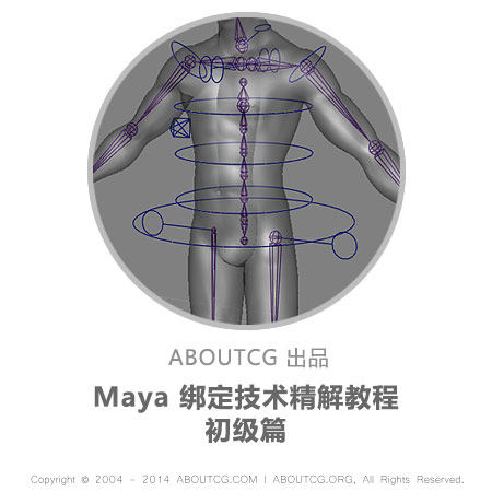AboutCG maya Binding technology Refinement Tutorial-Beginner Character binding tutorial Animation binding