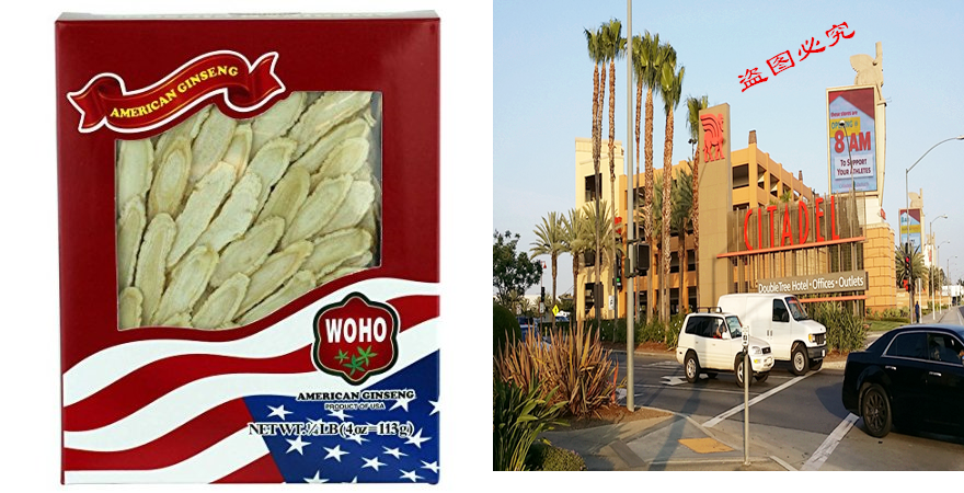 WOHO #126 4 American Ginseng Slice Medium 4oz Box