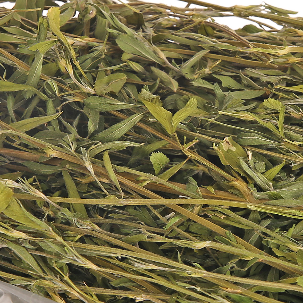 波奇网 全国包邮小宠食品绿色紫花苜蓿草1000g 清香烘干兔草兔粮