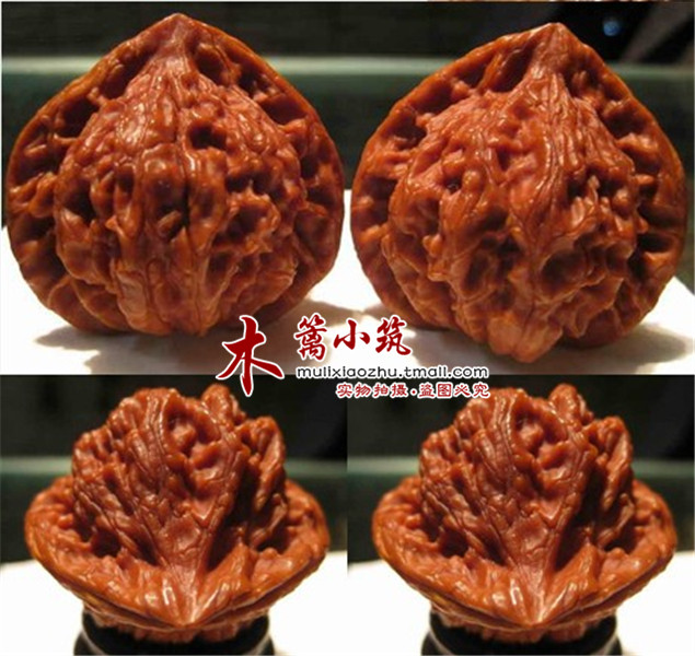 【公子帽】文玩核桃/麻核桃/四座楼/满天星狮子头等核桃苗