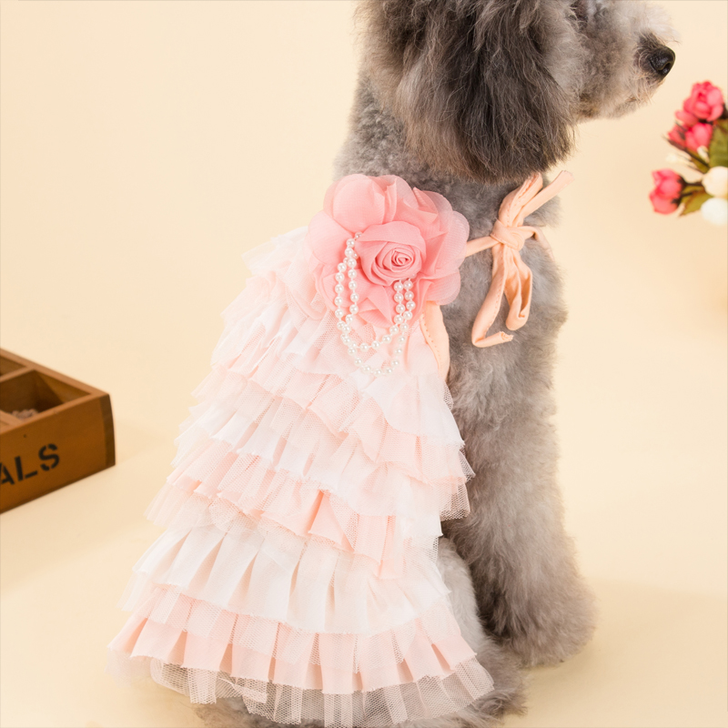 蕾丝胸花公主裙小狗狗两脚衣服泰迪比熊犬博美春夏款猫咪宠物服装