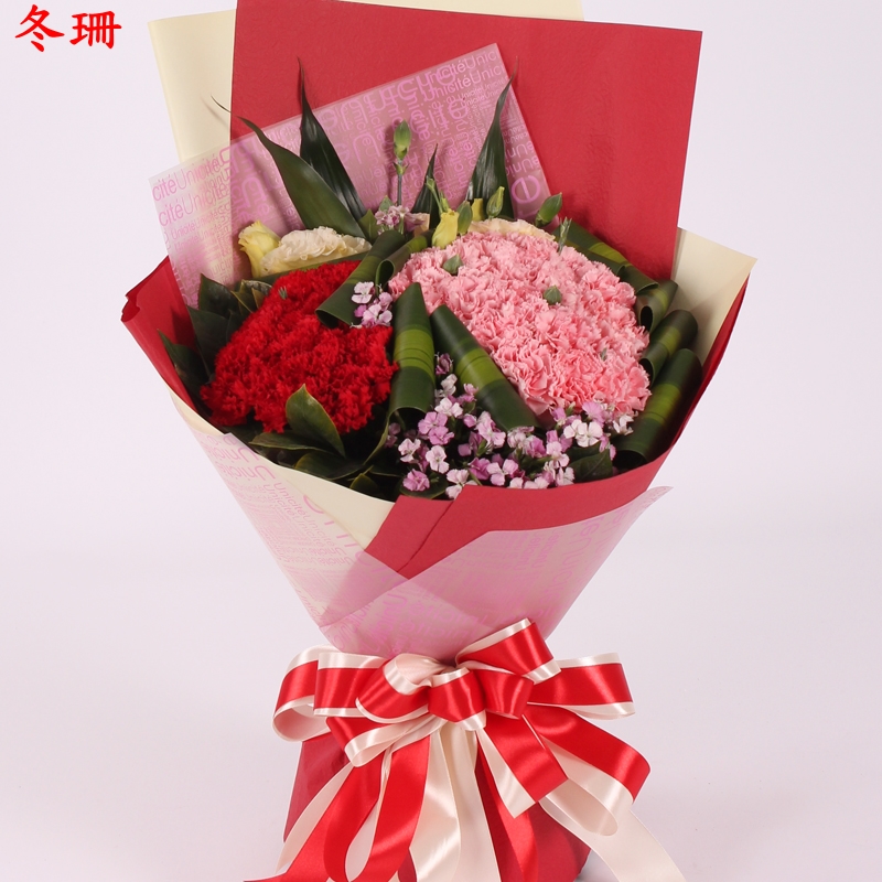 送花母亲节感恩教师节探望病人康乃馨同城五河县建阳福州厦门重庆