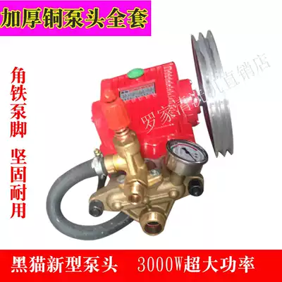 Black cat Panda commercial high pressure washer car washer 220V car washer 55 58 40 type all copper indenter thickening