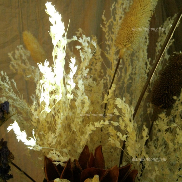 (white grass) Yunnan natural dry flower art with flower arrangement decoration flower table drying branches flower arrangement countryside