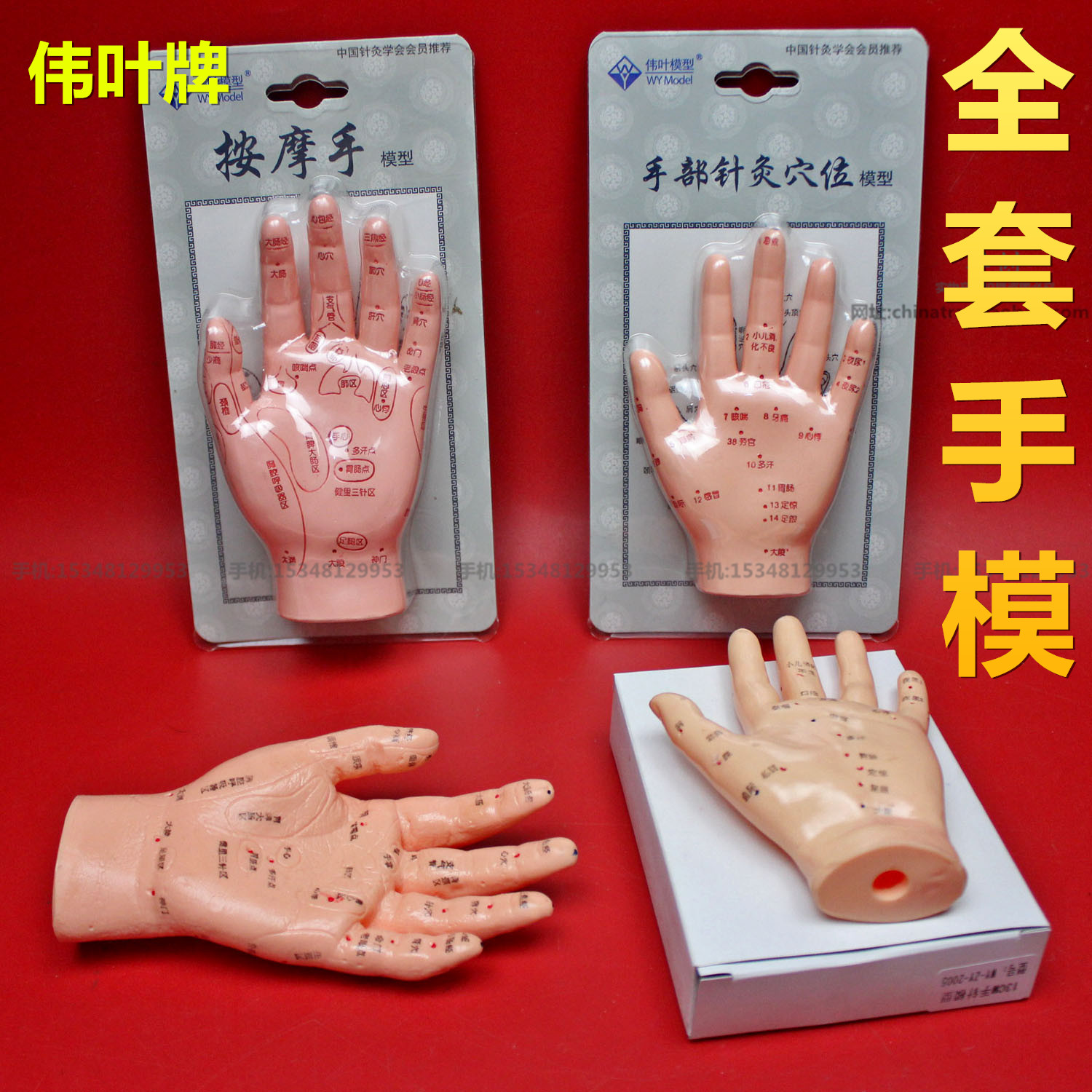 伟叶牌高清硬手部保健模型按摩推拿手部穴位反射区教学模型超清版