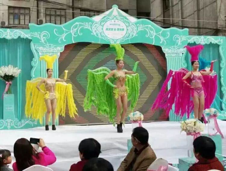 Samba Dance Stage Performance Costume Ostrich Feather Back Panel Dance Team Headdress Opening Feather Atmospheric Costume