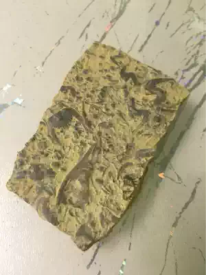 10 yuan a piece of low-cost treatment of trilobite fossils Swallow stone bat stone rough (fidelity)