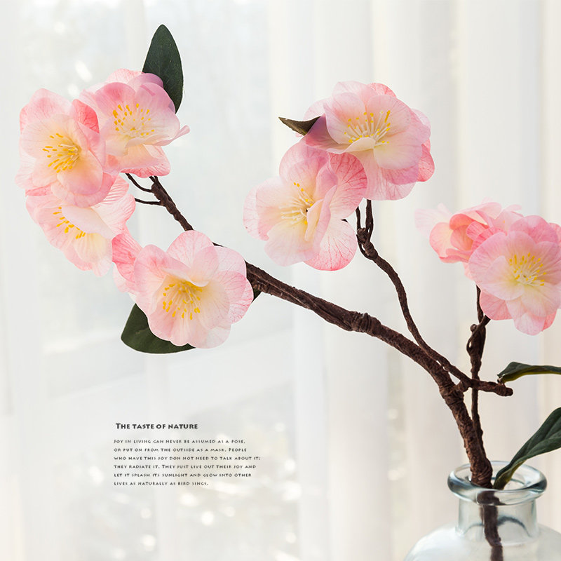 �������廨���滨147812