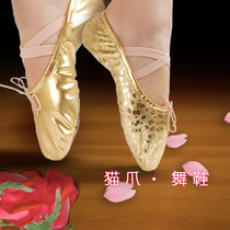 Ballet shoes gold and silver childrens dance shoes soft-soled exercise shoes cat claw shoes womens belly dance shoes yoga shoes for adults