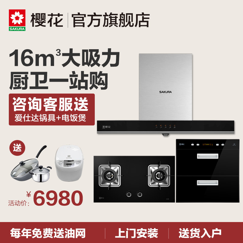 sakura/ӣ��������180116+a38+q31590