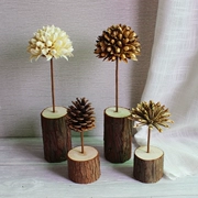 Caroline handmade hoa khô micro cảnh trang trí cảnh quan Giáng sinh hình nón thông đồ trang trí bằng gỗ pier DIY trang trí đồ trang trí cọc gỗ
