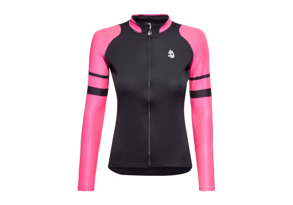 2015 new thin section long-sleeved cycling clothing suit women's bicycle clothing mountain bike clothing team version
