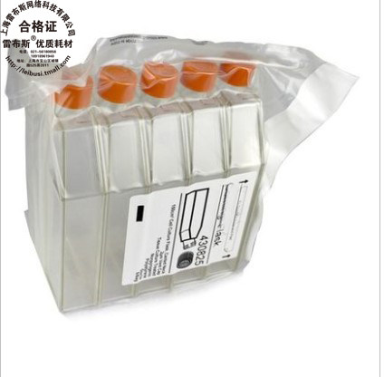 康宁 Corning T150透气 430825 150cm正方透气盖斜口细胞细胞培养瓶 5个/包 10包/箱