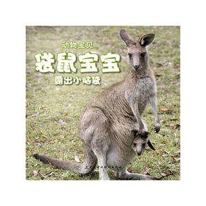 袋鼠宝宝露出小脑袋