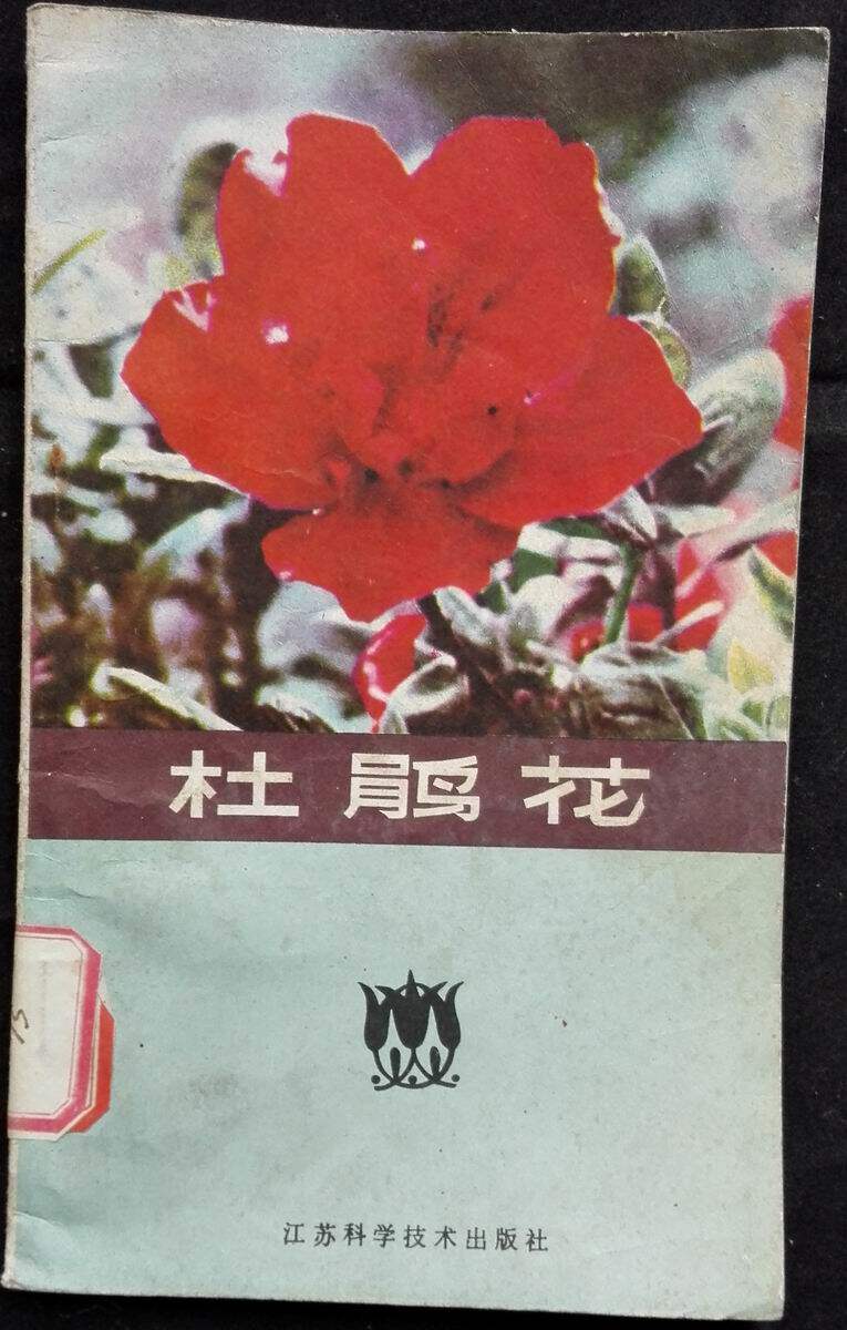 The second hand the rhododendron is a