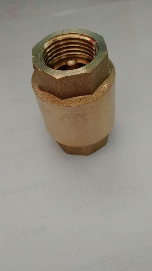 E word card heavy standing check valve brass stop inverse valve backstop valve DN15 DN20 DN25 DN25