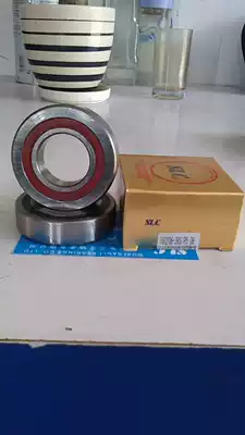 Wuxi Sanli Sealed Screw Bearing Screw Bearing 760206P5DBB( 7602030)