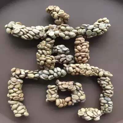 Yunnan cat shit coffee raw bean cafe decoration suitable for fragrant cat shelled raw beans 500g Gaosheng Manor