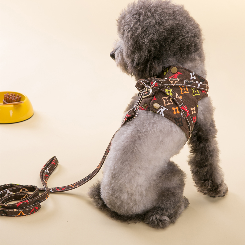 卡通胸背套牵引绳狗绳项圈宠物用品狗链狗狗胸背中型犬小型犬背带