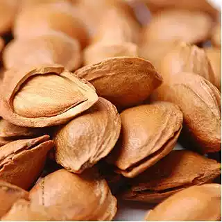 Open apricot kernel 810G hand peeled small ginkgo kernel small white apricot kernel with shell open sweet almond wild apricot
