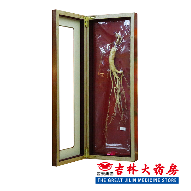 集安广润    人参  11g/支