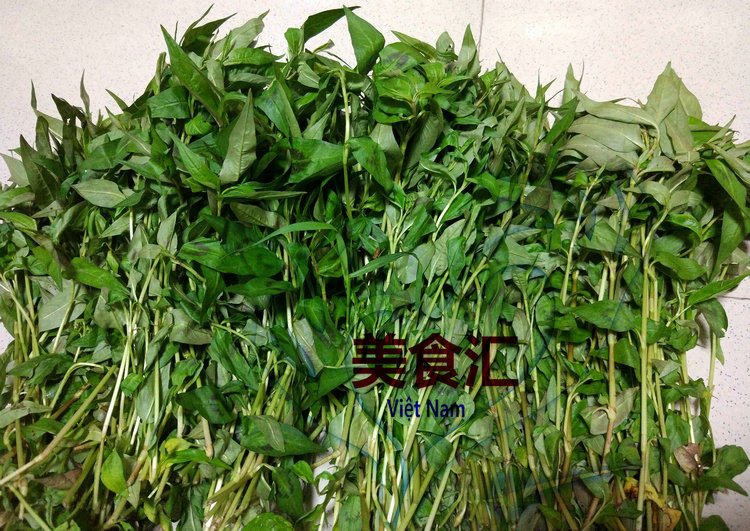 Rau Ram fresh fake spicy Polygonum 500 gram head egg hairy egg preparation must laksa leaf spice fresh vegetable