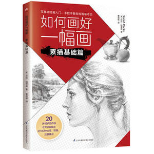 正版 如何画好一幅画 素描基础篇 莎拉帕克斯 章放维 艺术 绘画 素描/速写 江苏科学技术出版社