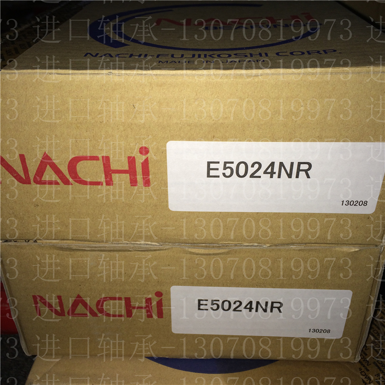 NACHI Bearing E5024NR Marine Machinery Full Complement Cylindrical Roller Bearing SL045024PP-2NR
